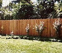 Wood Fencing